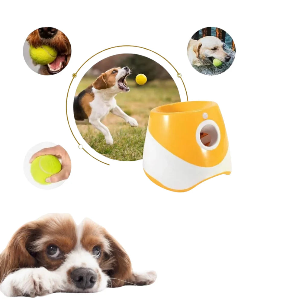 ZoomFetch® | Automatic Dog Ball Launcher