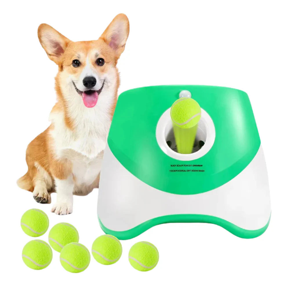 ZoomFetch® | Automatic Dog Ball Launcher