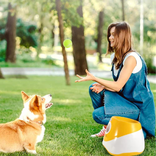 ZoomFetch® | Automatic Dog Ball Launcher